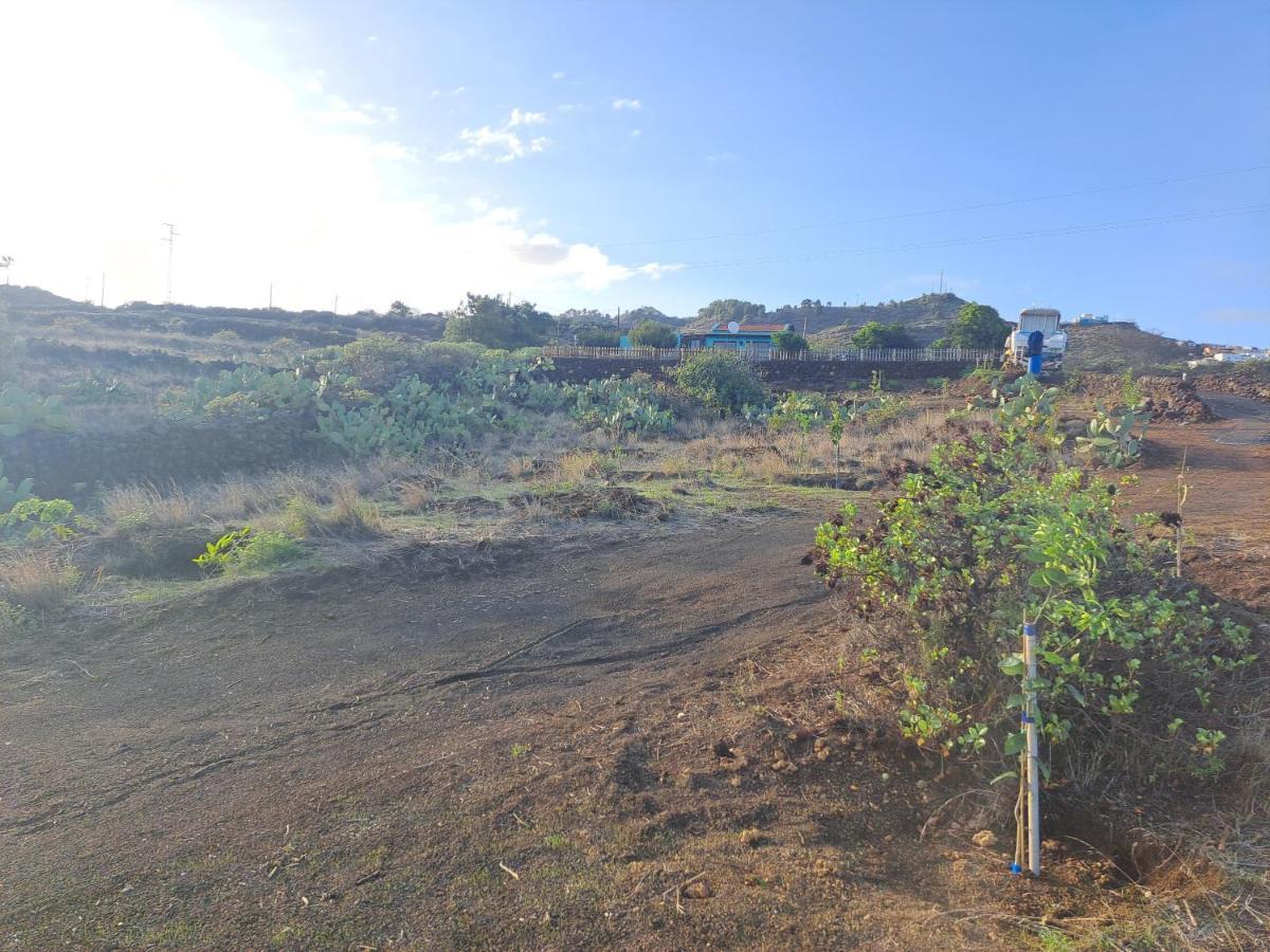 Las Casitas De Pao El Pinar  Buitenkant foto
