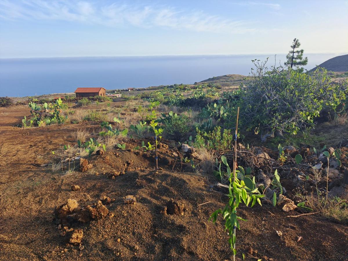 Las Casitas De Pao El Pinar  Buitenkant foto