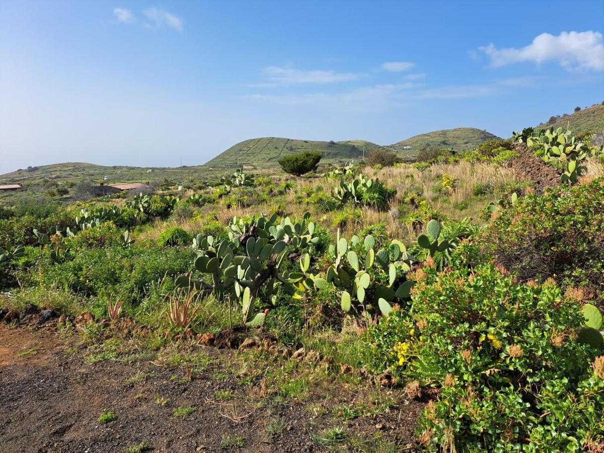 Las Casitas De Pao El Pinar  Buitenkant foto