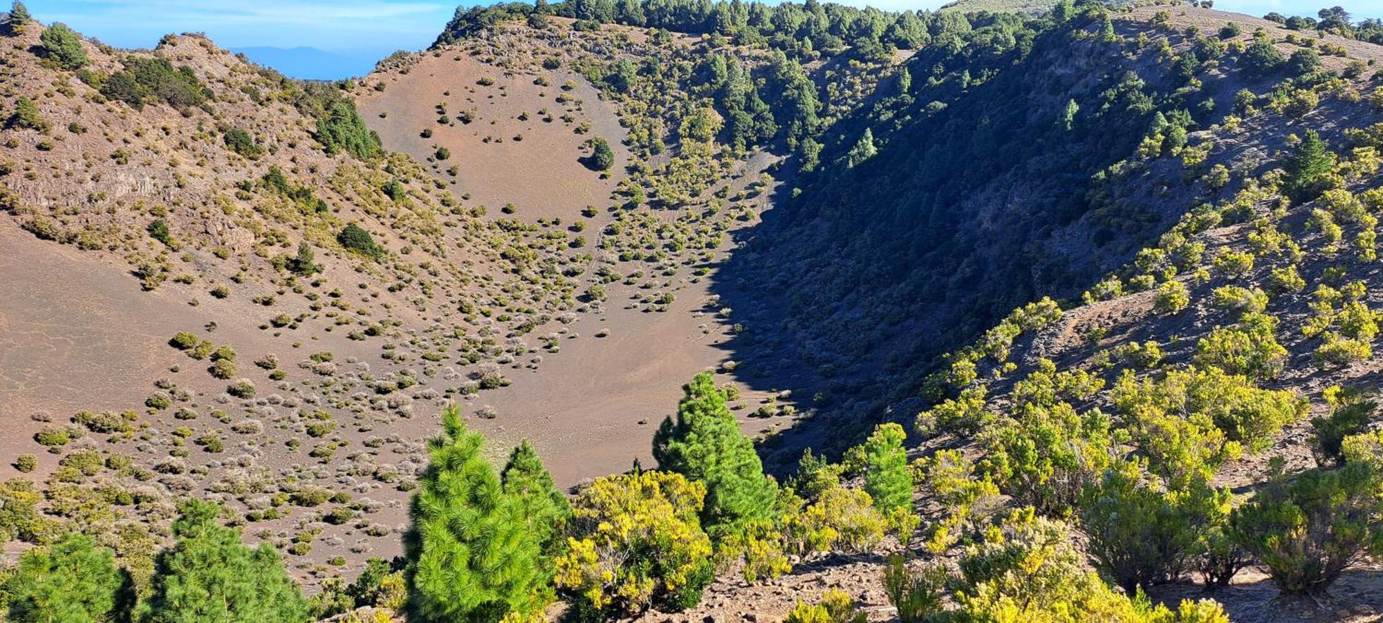 Las Casitas De Pao El Pinar  Buitenkant foto